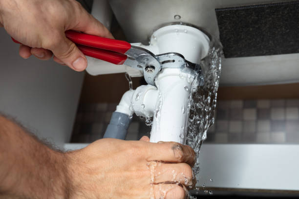 Best Mold removal after water damage  in Laurel Hill, VA