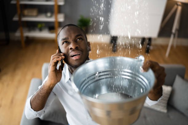 Best Carpet water damage restoration  in Laurel Hill, VA