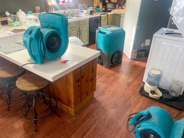 Carpet water damage restoration in Laurel Hill, VA