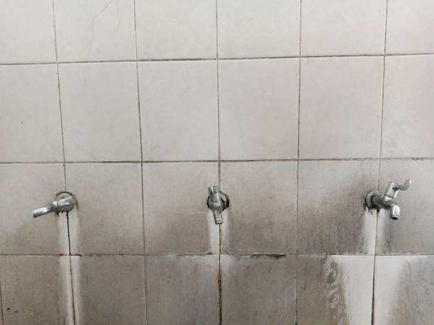 Best Fire Damage Restoration  in Laurel Hill, VA