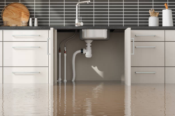 Best Water damage cleanup near me  in Laurel Hill, VA