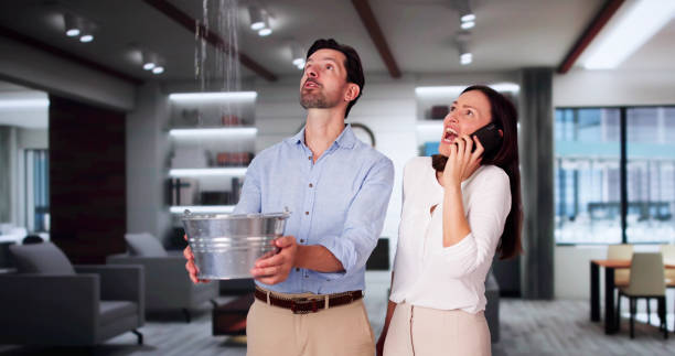 Best Water damage cleanup near me  in Laurel Hill, VA